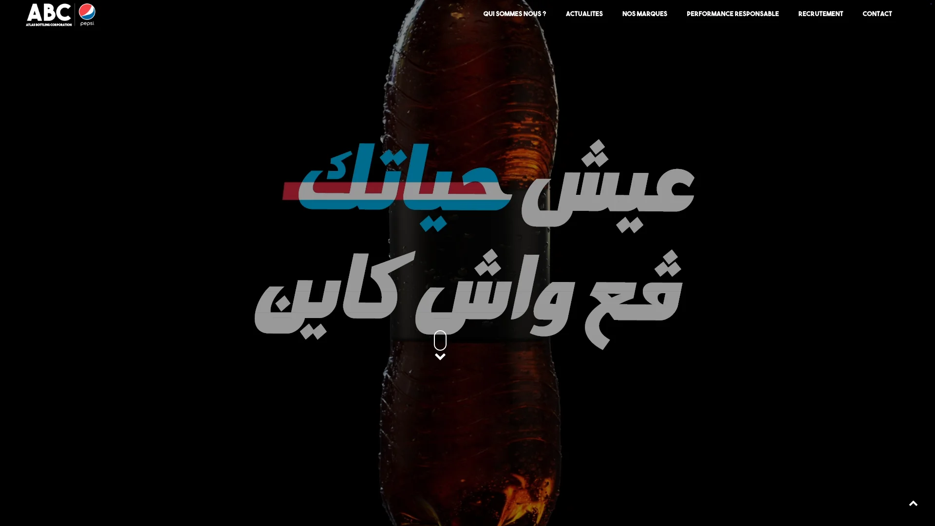 PepsiCo Algeria screenshot